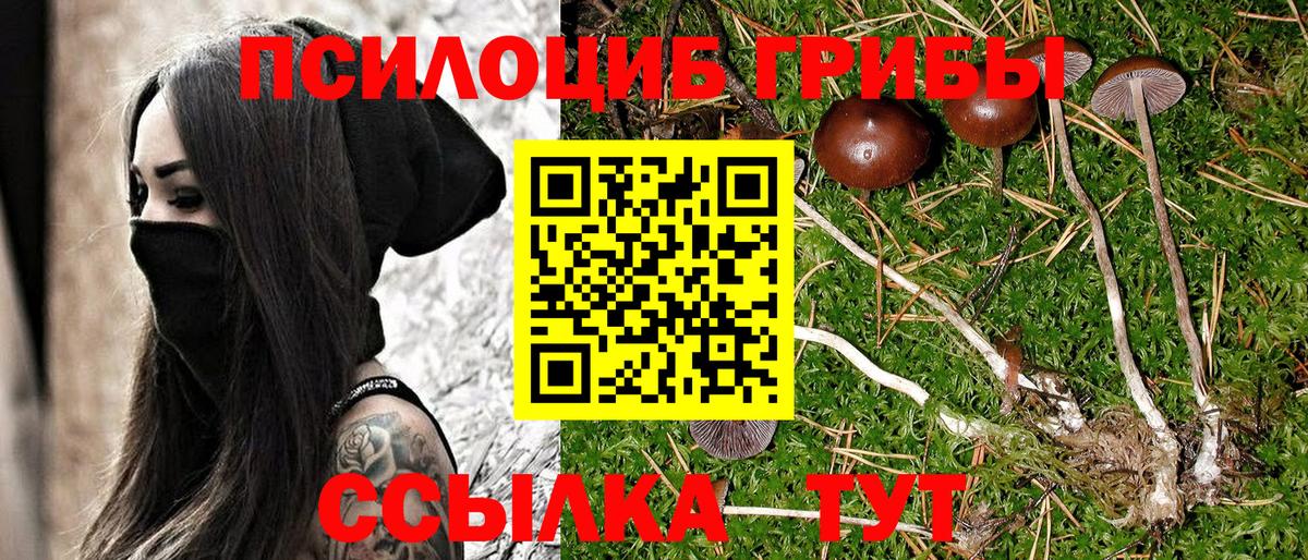 Галлюциногенные грибы GOLDEN TEACHER  Вход с VPN  Тулун 